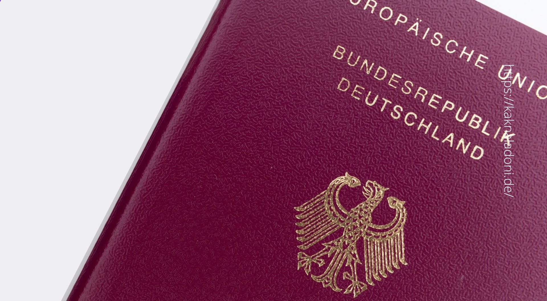 Гражданство Германии. Получение гражданства в Германии. Гражданство германии для россиян
